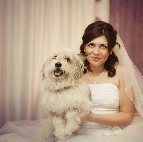 Mans Best Friend on your wedding day